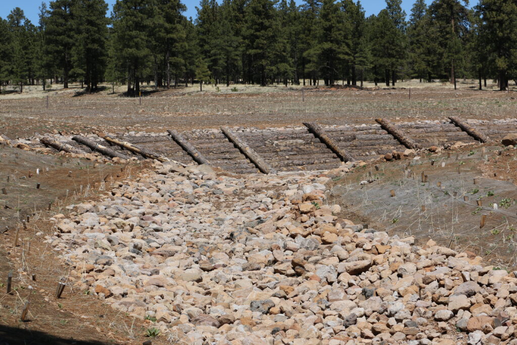 A rock and log rundown