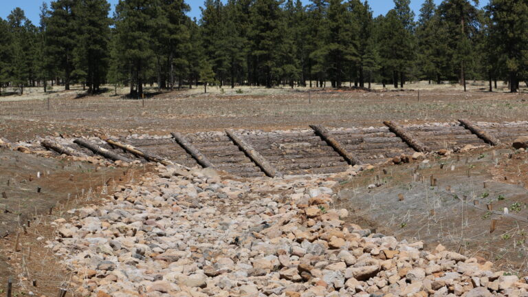 A rock and log rundown