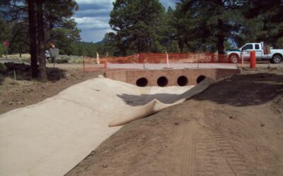 South Paintbrush Off Forest Phase II