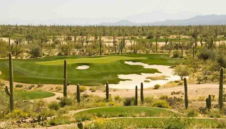 A golf course in the desert with cacti