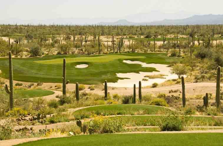A golf course in the desert with cacti