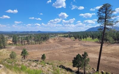 Coconino County On-Forest Watershed Restorations