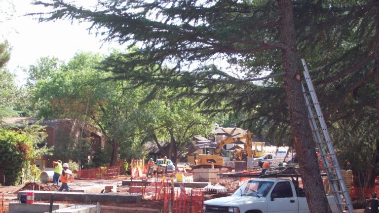 Construction zone with workers and trucks between trees