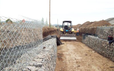 North Paintbrush Off Forest EWP